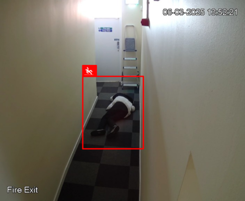 person who has been detected by cameras as having fallen over